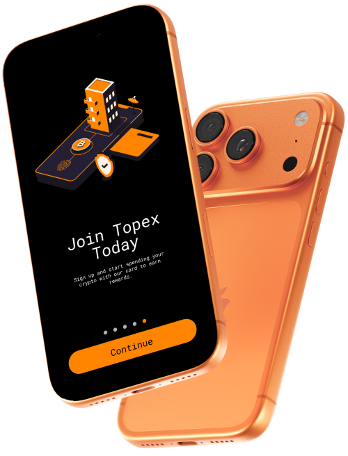 topex-mockup-2